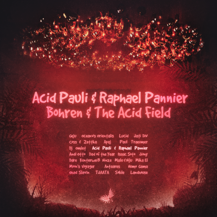 PREMIERE: Acid Pauli & Raphael Pannier - Bohren & The Acid Field [Leveldva]